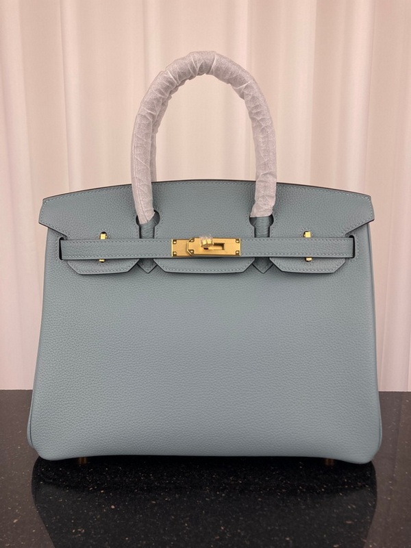 Hermes Handbags 38